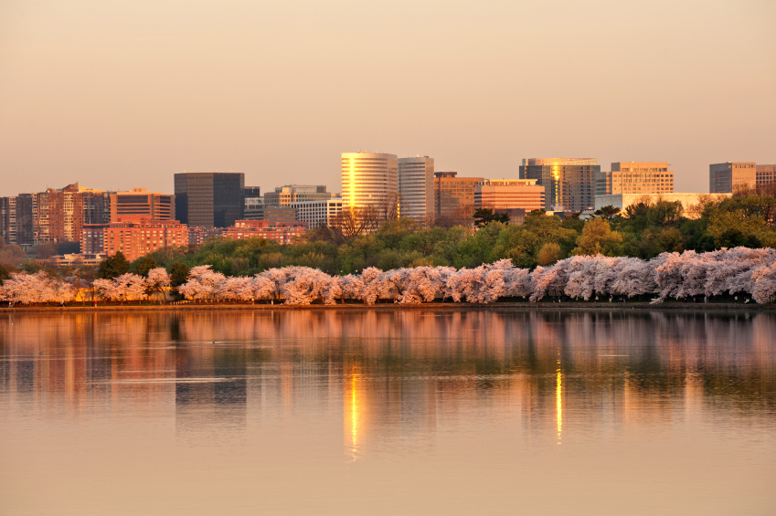 Rosslyn Sector Plan Update: Step One