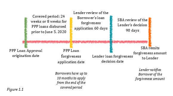 Figure 1.1 PPP loan forgiveness timeline