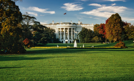 Understanding Schedule F: What It Means for Federal Employees and Contractors